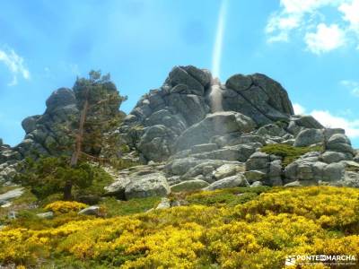 Siete Picos[Serie clásica]:Sierra del Dragón;escapadas desde madrid licencia federativa senderismo